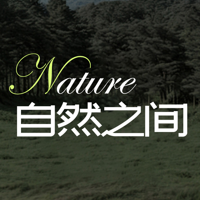 自然之间