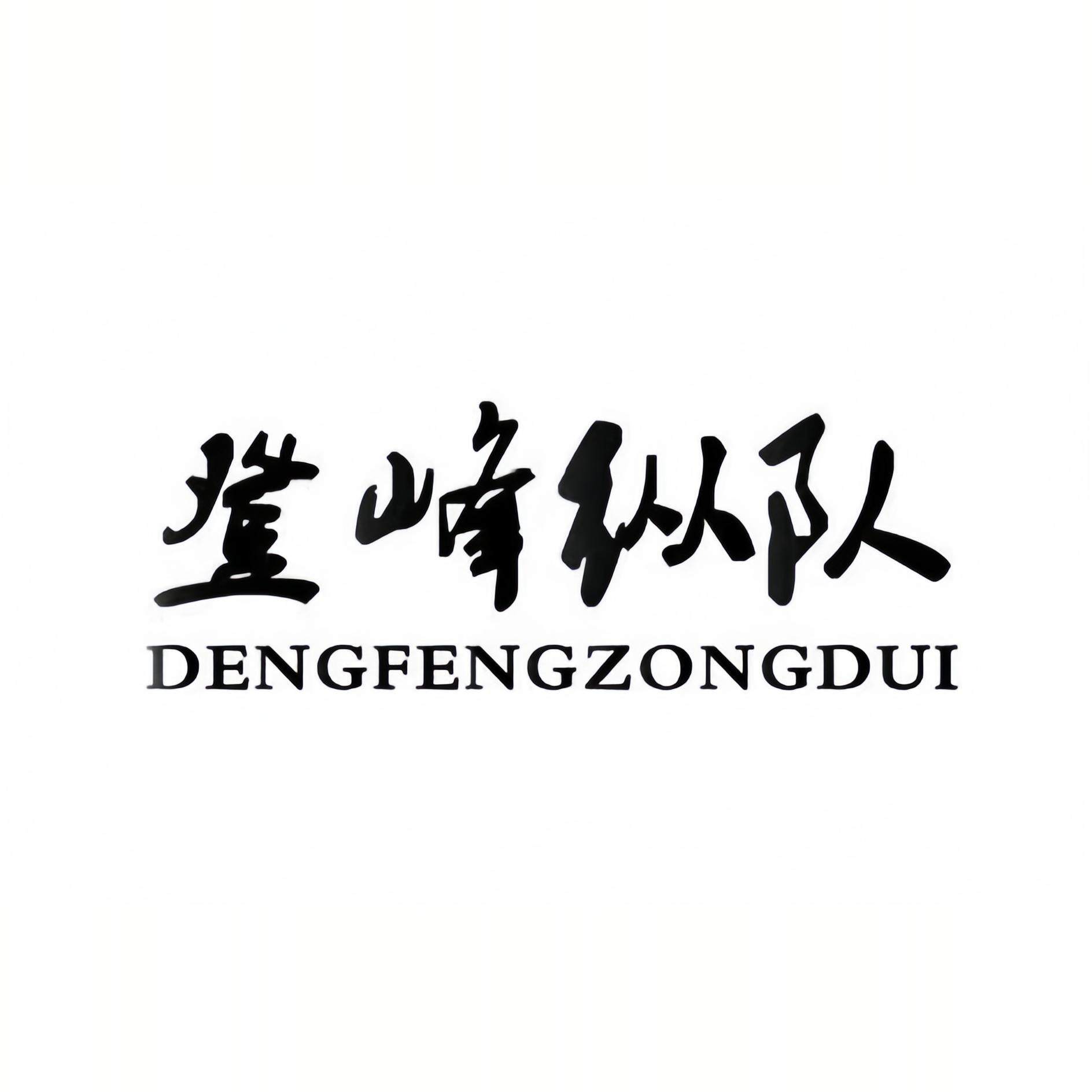 登峰纵队旗舰店
