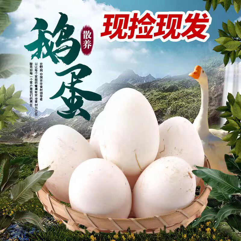 鲜叮当坤尚专卖店