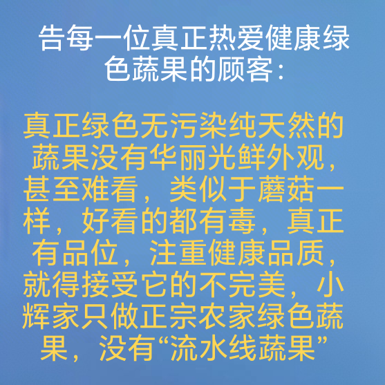 汪小辉自家菜园小店