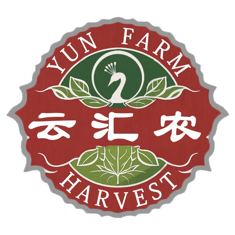 云汇农食品