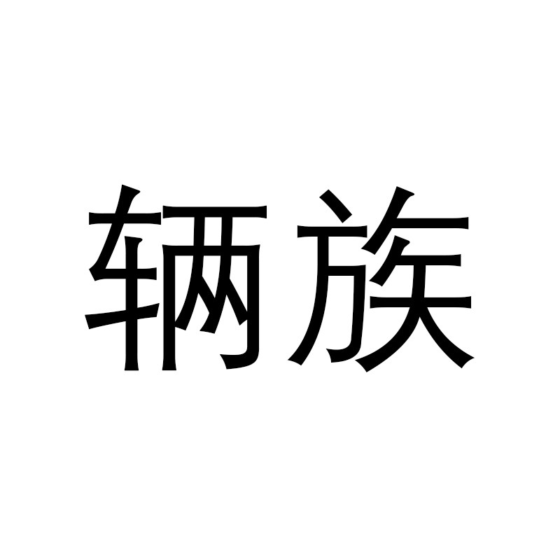 辆族旗舰店