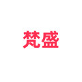 梵盛食品专营店