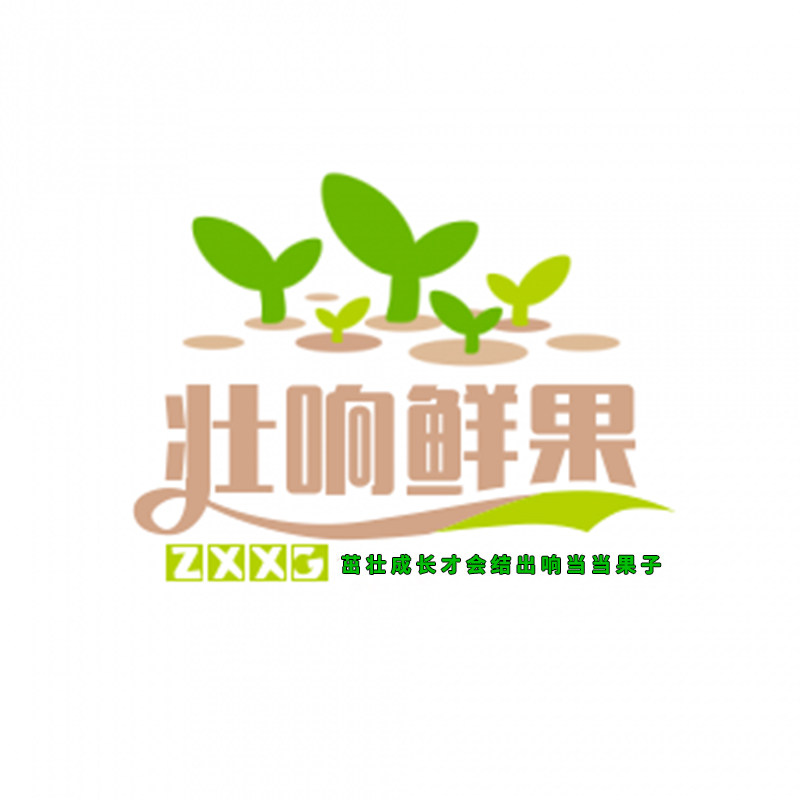壮响水果旗舰店