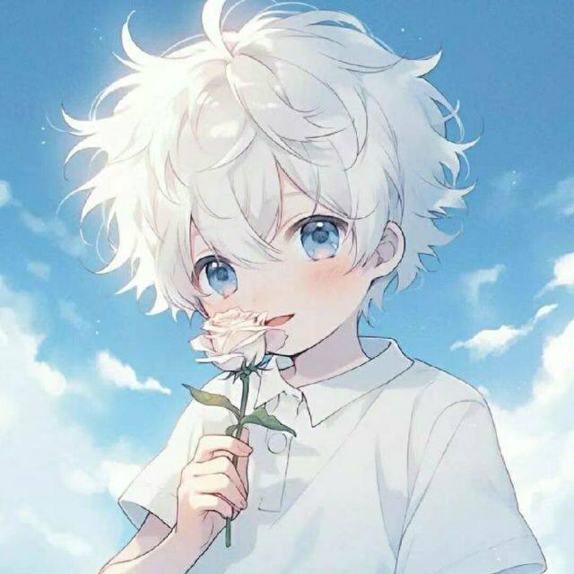 靓靓小浣熊
