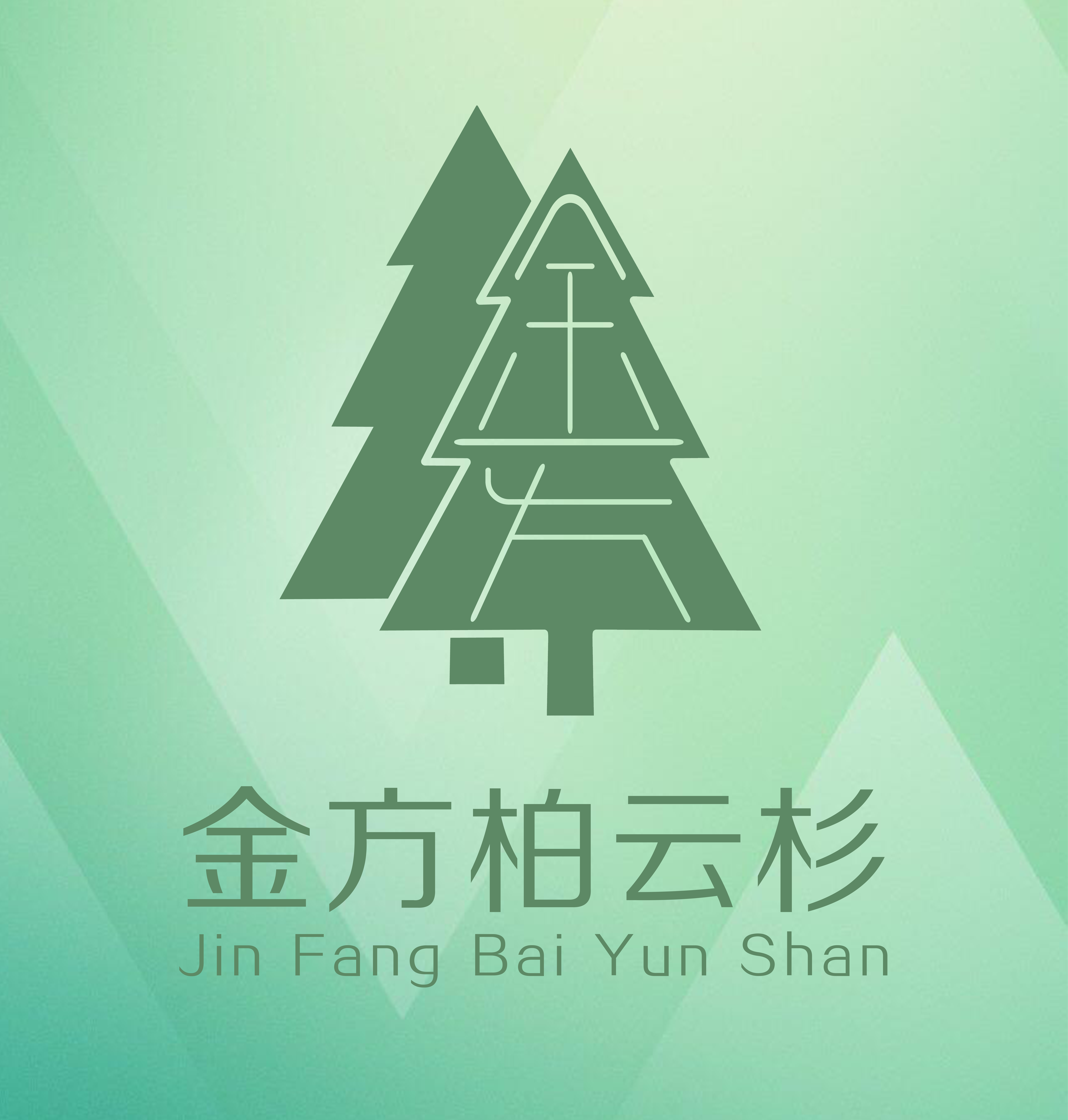 金方柏云杉洗护官方企业店