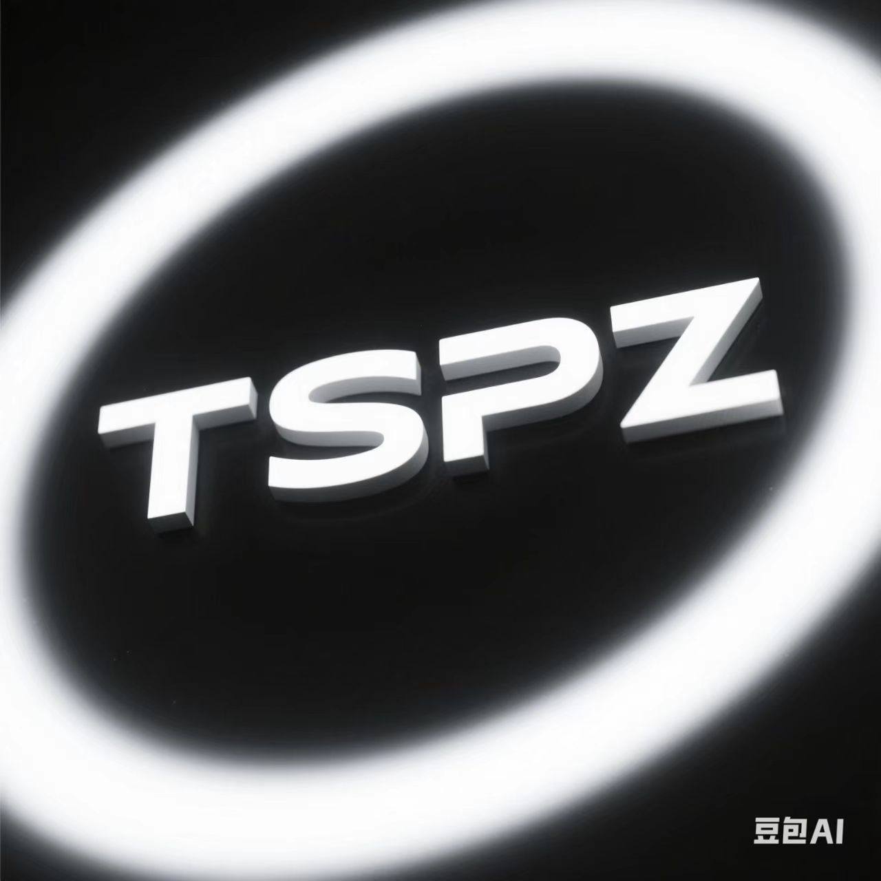 TSPZ旗舰店