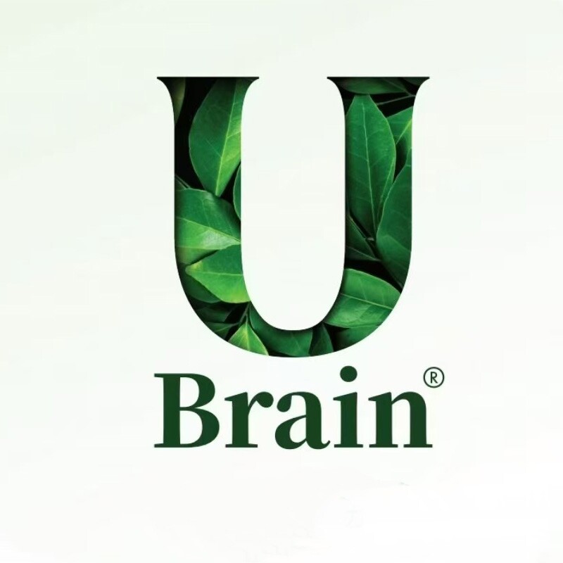 UBrain海外旗舰店