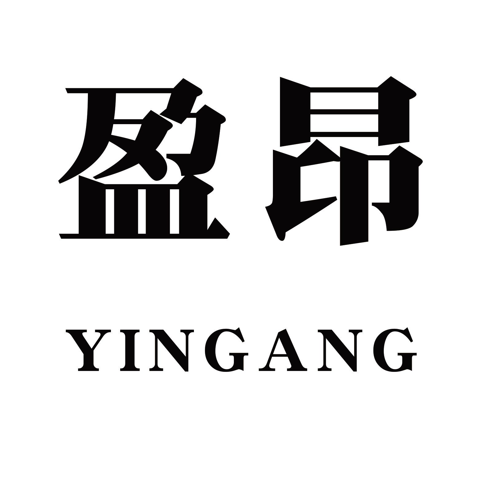盈昂旗舰店 店铺LOGO