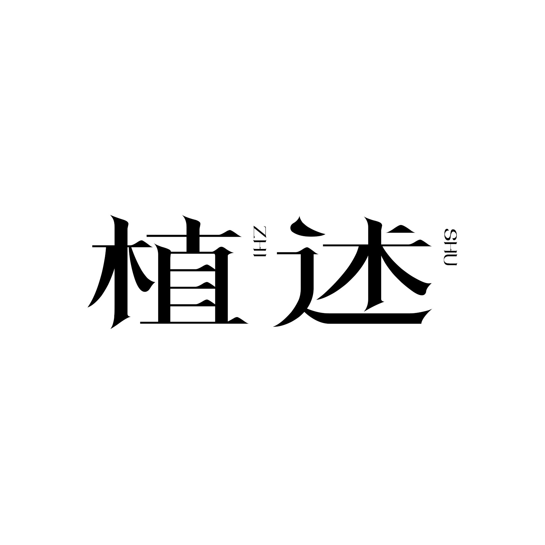 植述旗舰店