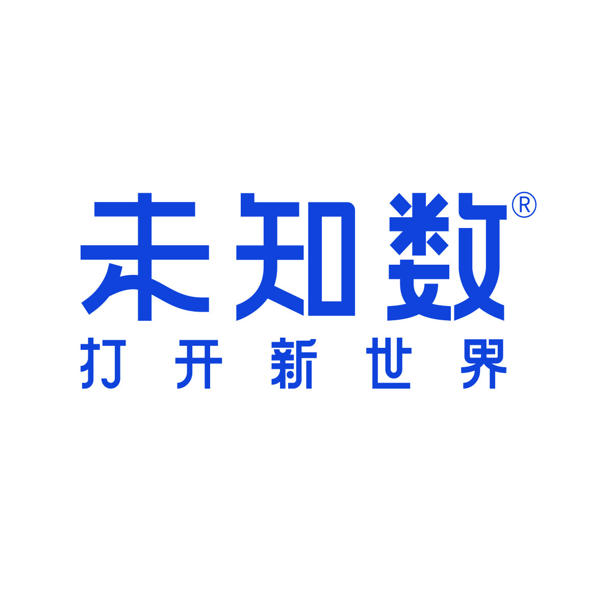 未知数旗舰店