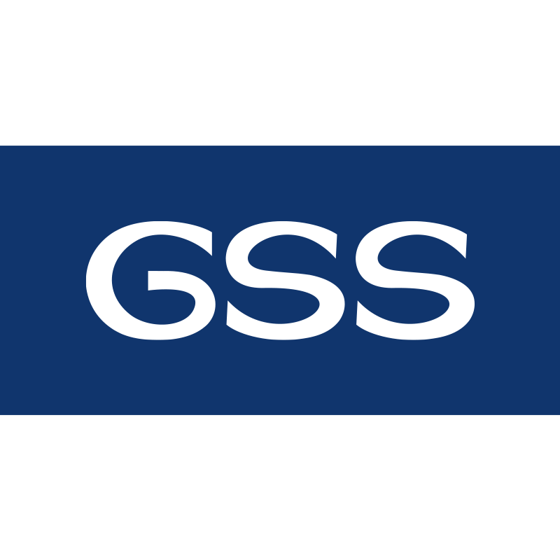 GSS海外旗舰店 店铺LOGO