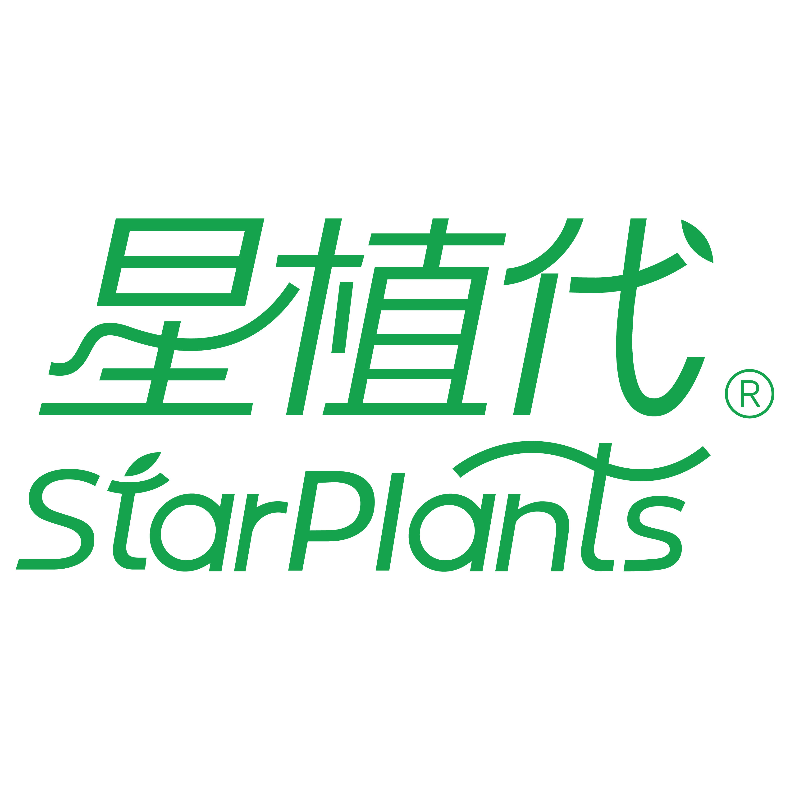 StarPlants星植代旗舰店 店铺LOGO