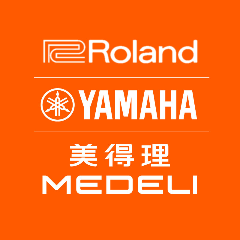瑞瑾乐器专营店