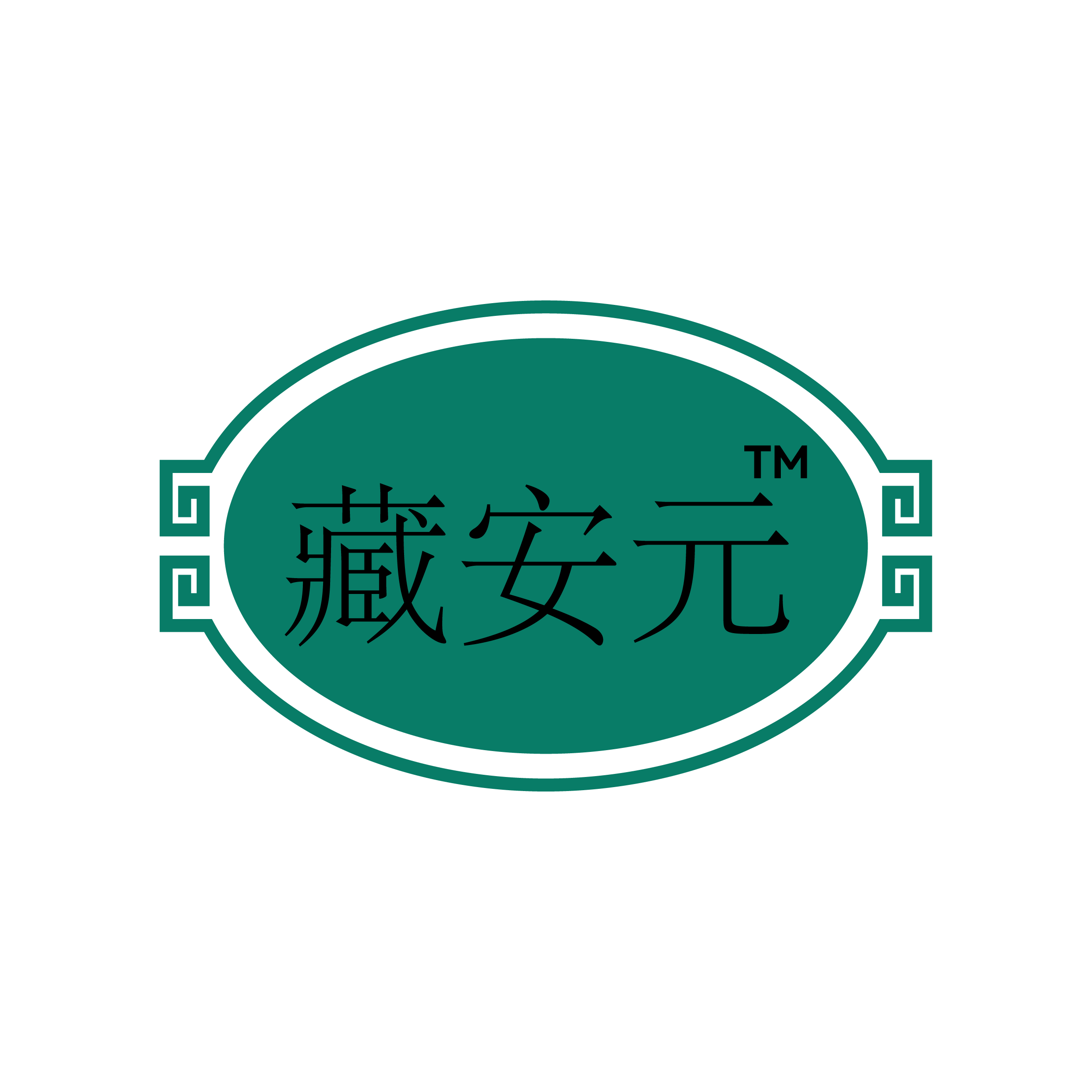 藏安元医疗器械旗舰店