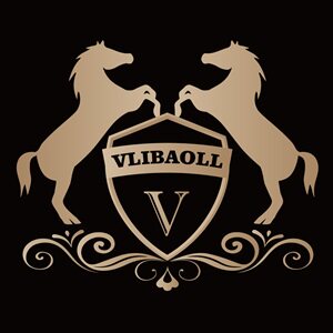 VLIBAOLL汽车用品旗舰店