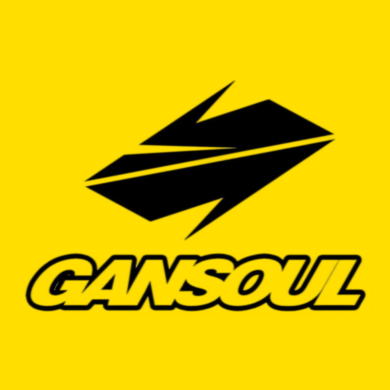 Gansoulwang金兽专卖店