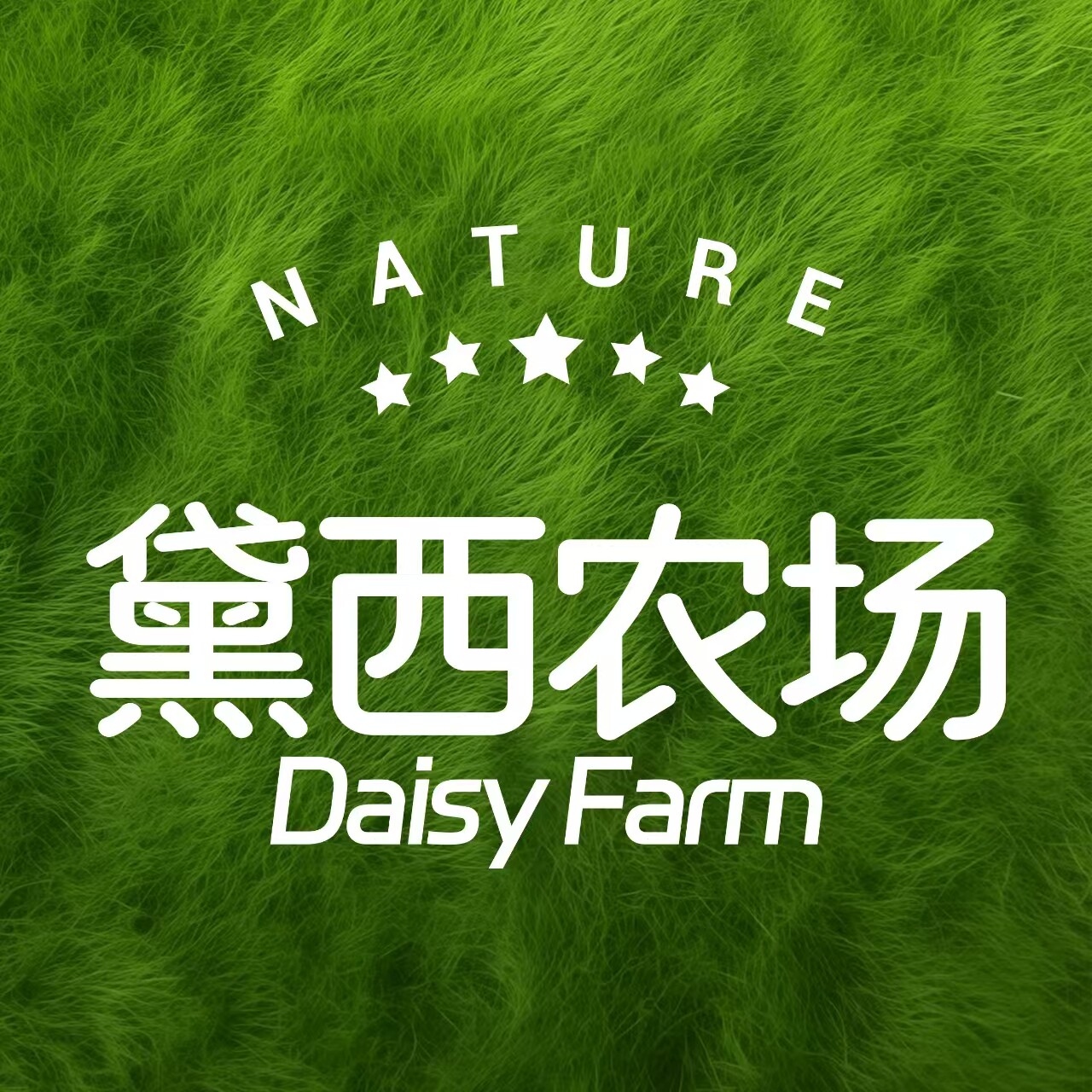 黛西农场食品旗舰店