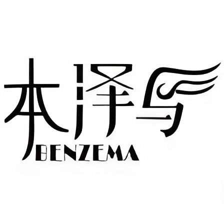 本泽马旗舰店