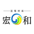 山东宏和蓝莓基地零售批发