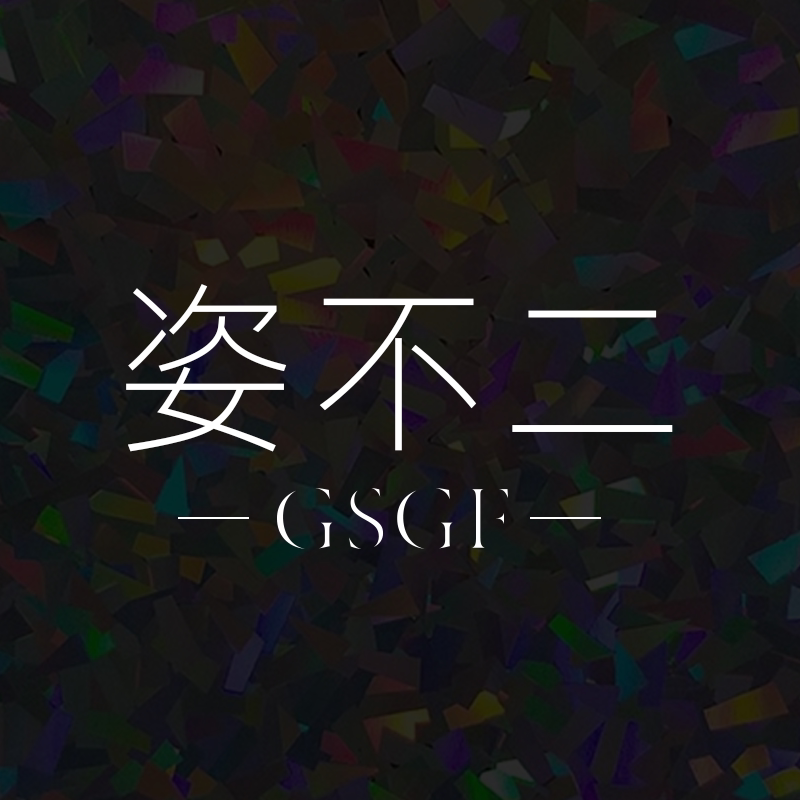 GSGF姿不二旗舰店