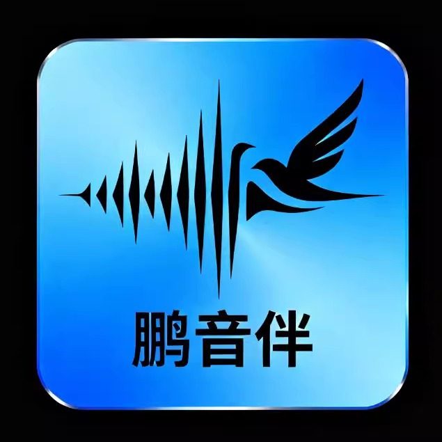 鹏音伴旗舰店