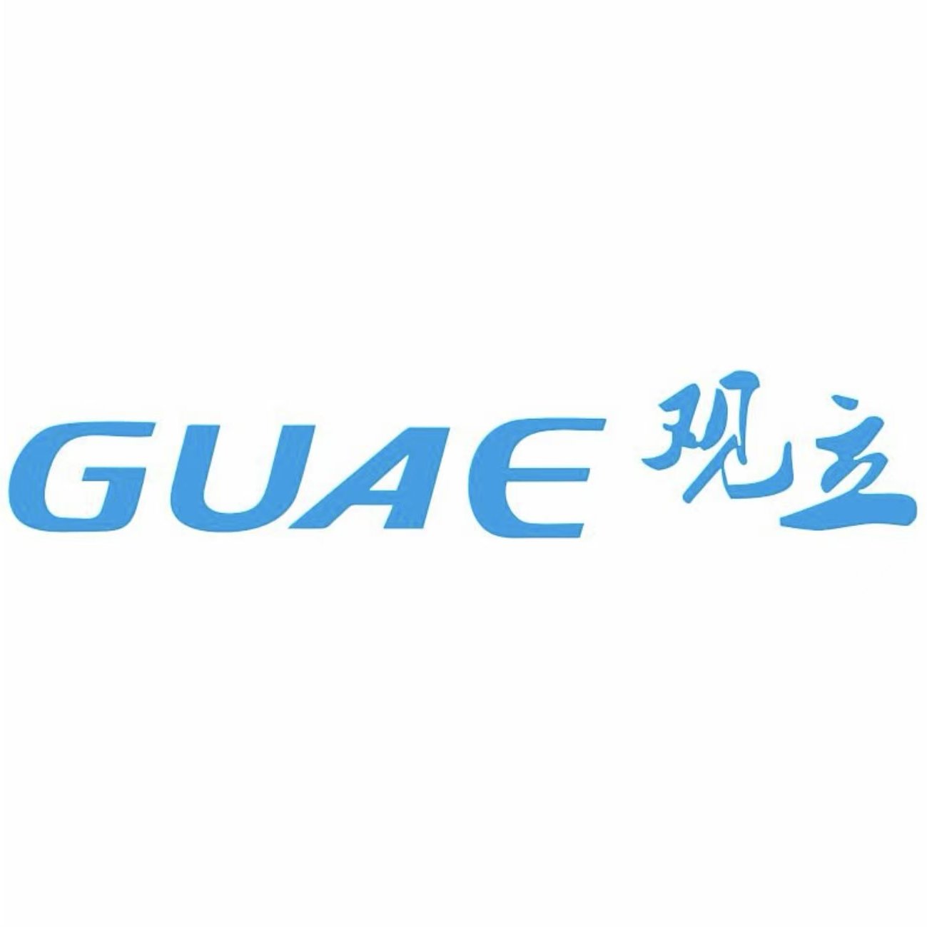 GUAE观立专卖店