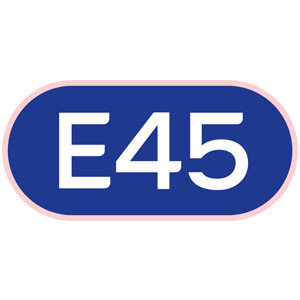 E45旗舰店 店铺LOGO