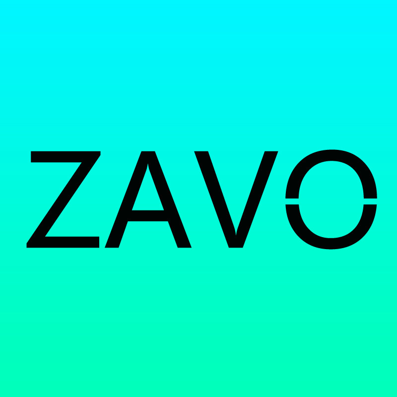 ZAVO旗舰店 店铺LOGO