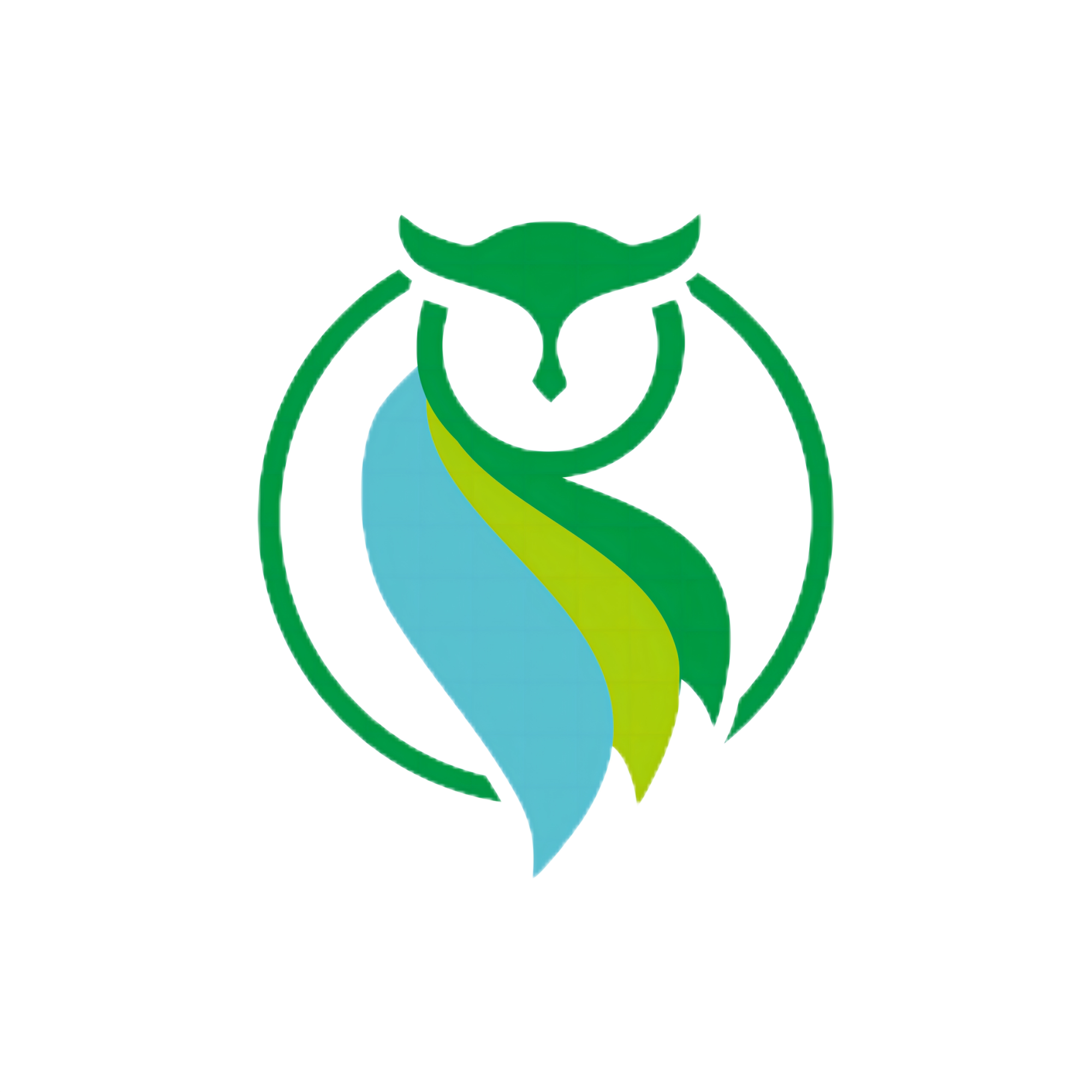 OWLSMART旗舰店