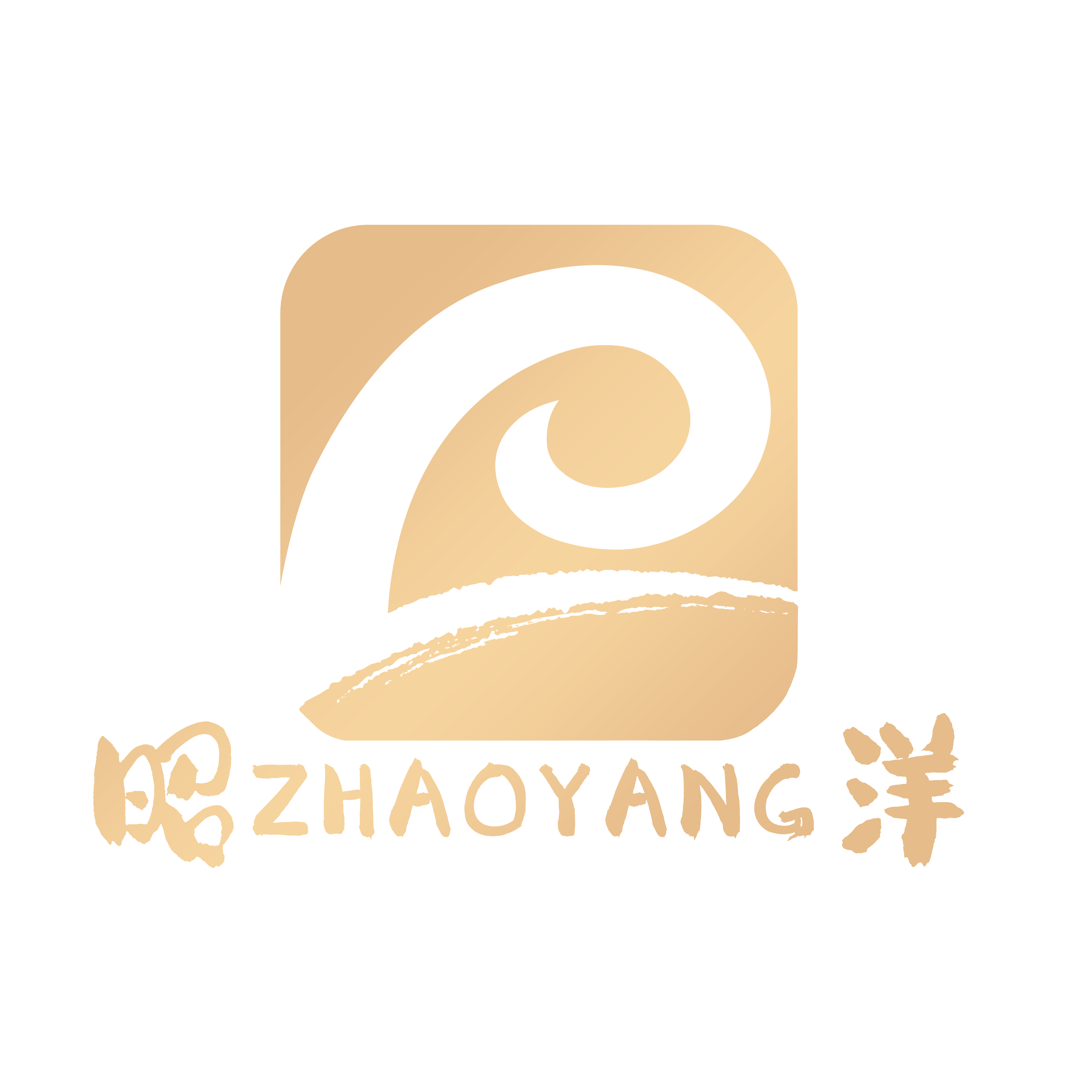 昭洋食品旗舰店