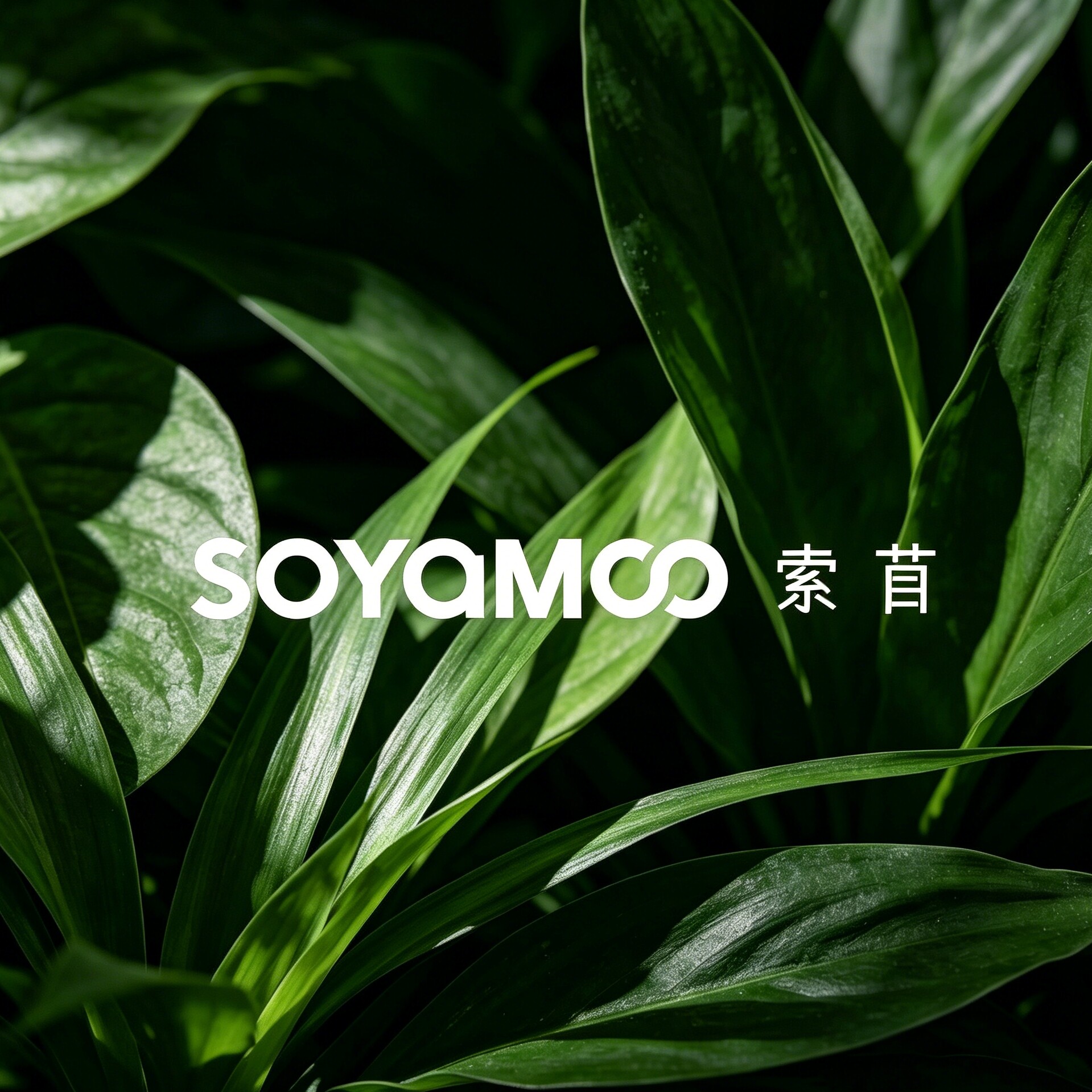 SOYAMOO天然精油香薰