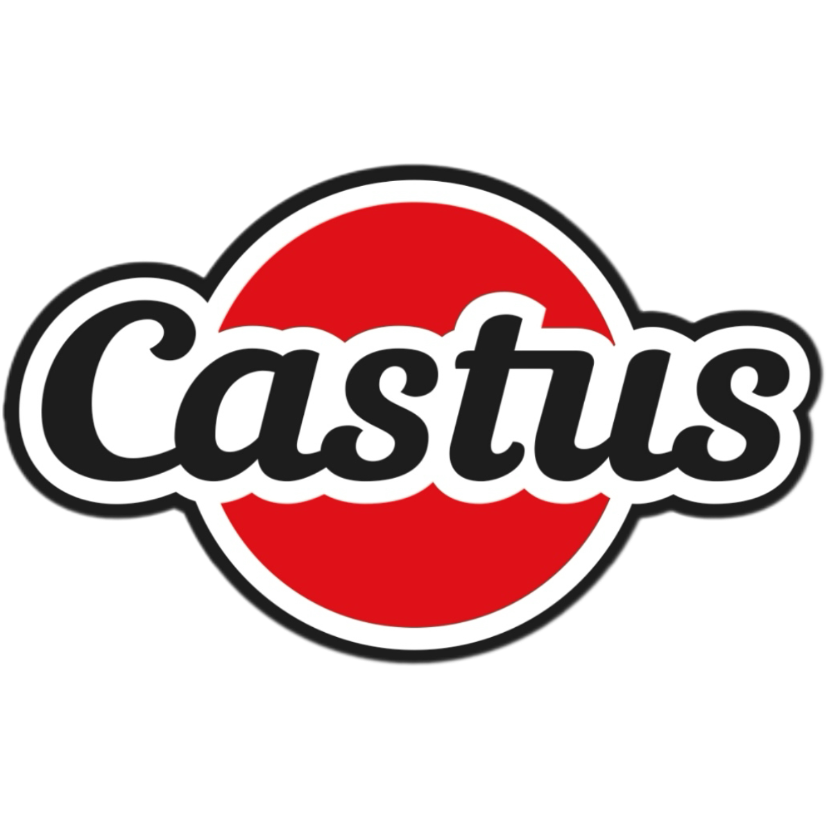 castus卡斯图斯海外旗舰店