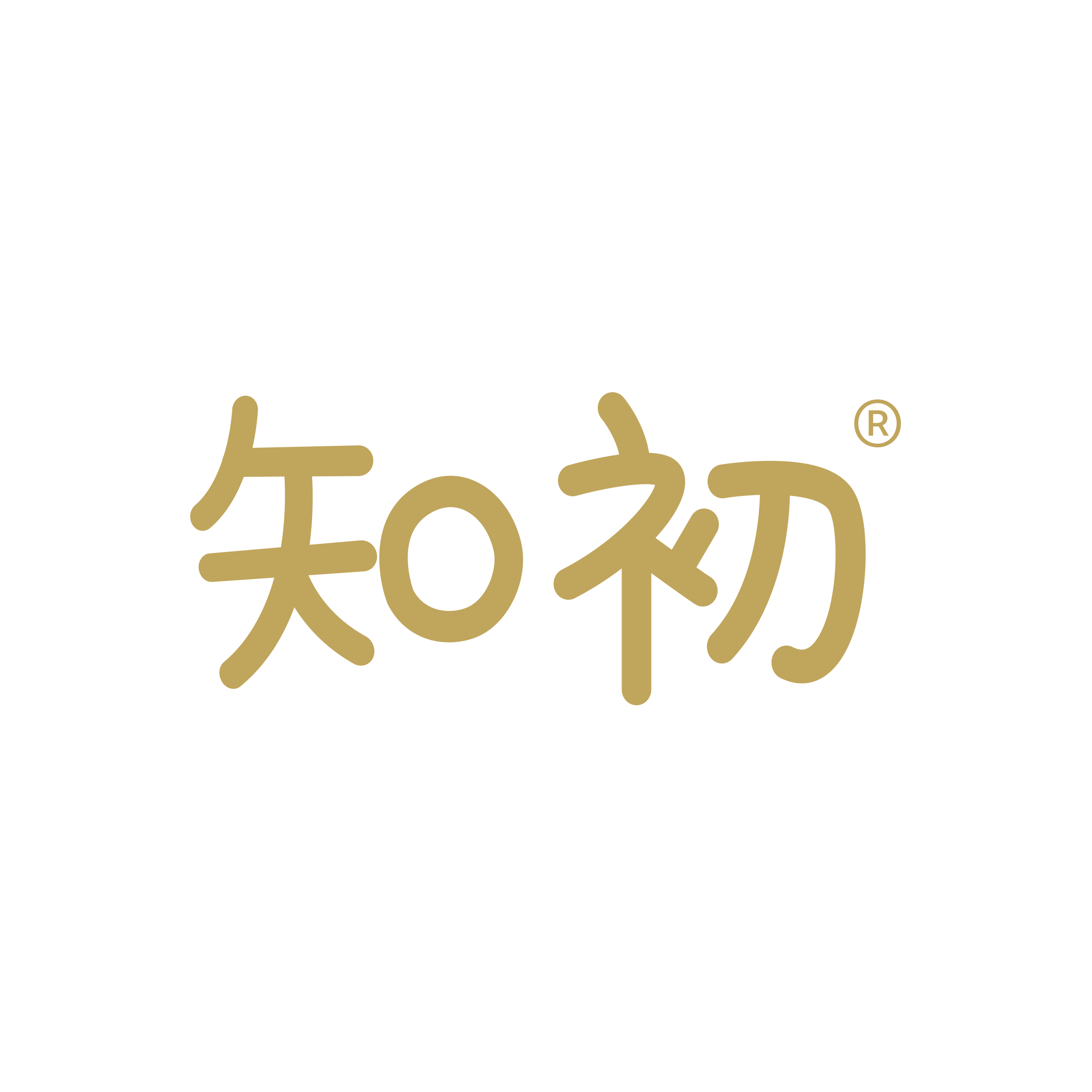 知初食品旗舰店
