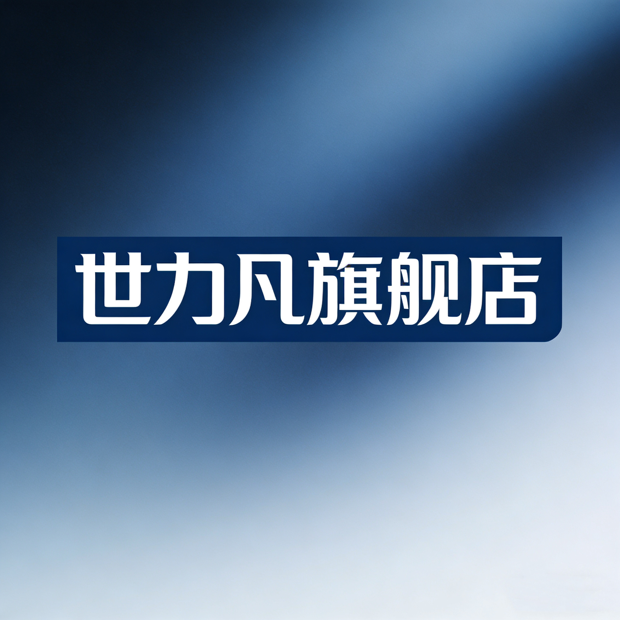 世力凡旗舰店