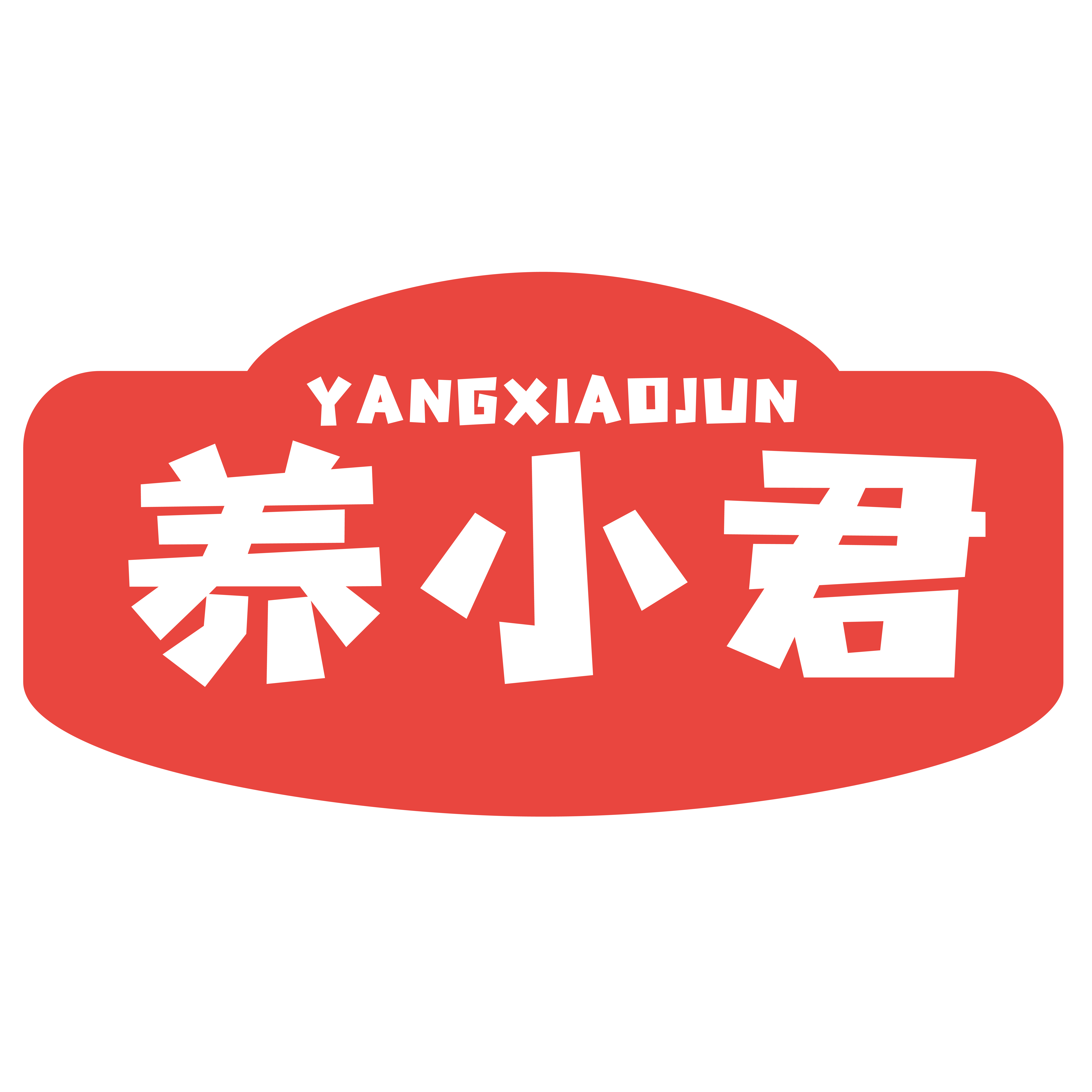 养小君食品旗舰店