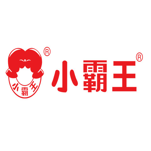 小霸王启智专卖店