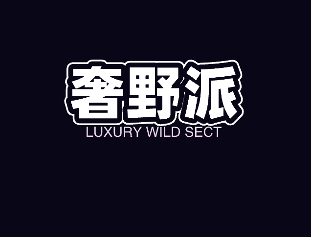 奢野派汽车用品