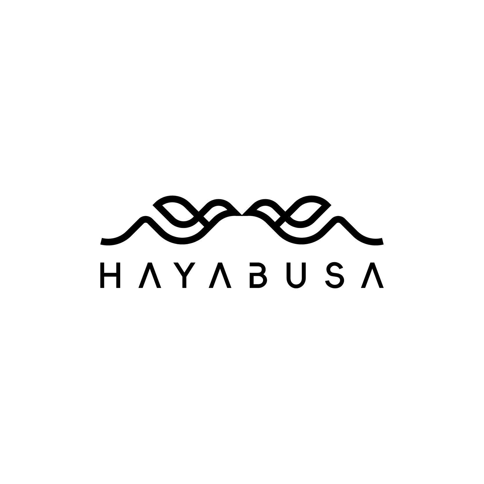 HAYABUSA生活电器旗舰店