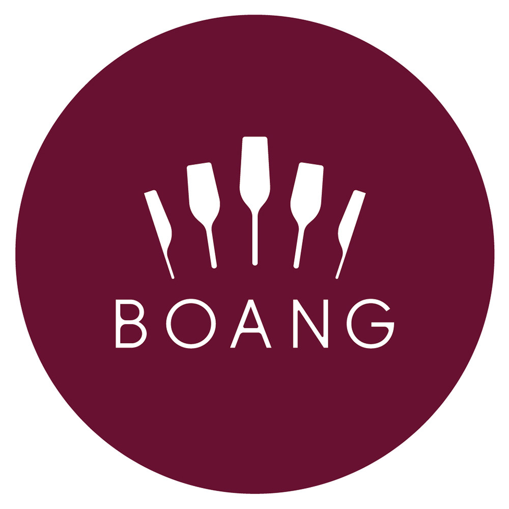 BOANG旗舰店