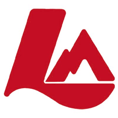 DalingRing旗舰店 店铺LOGO