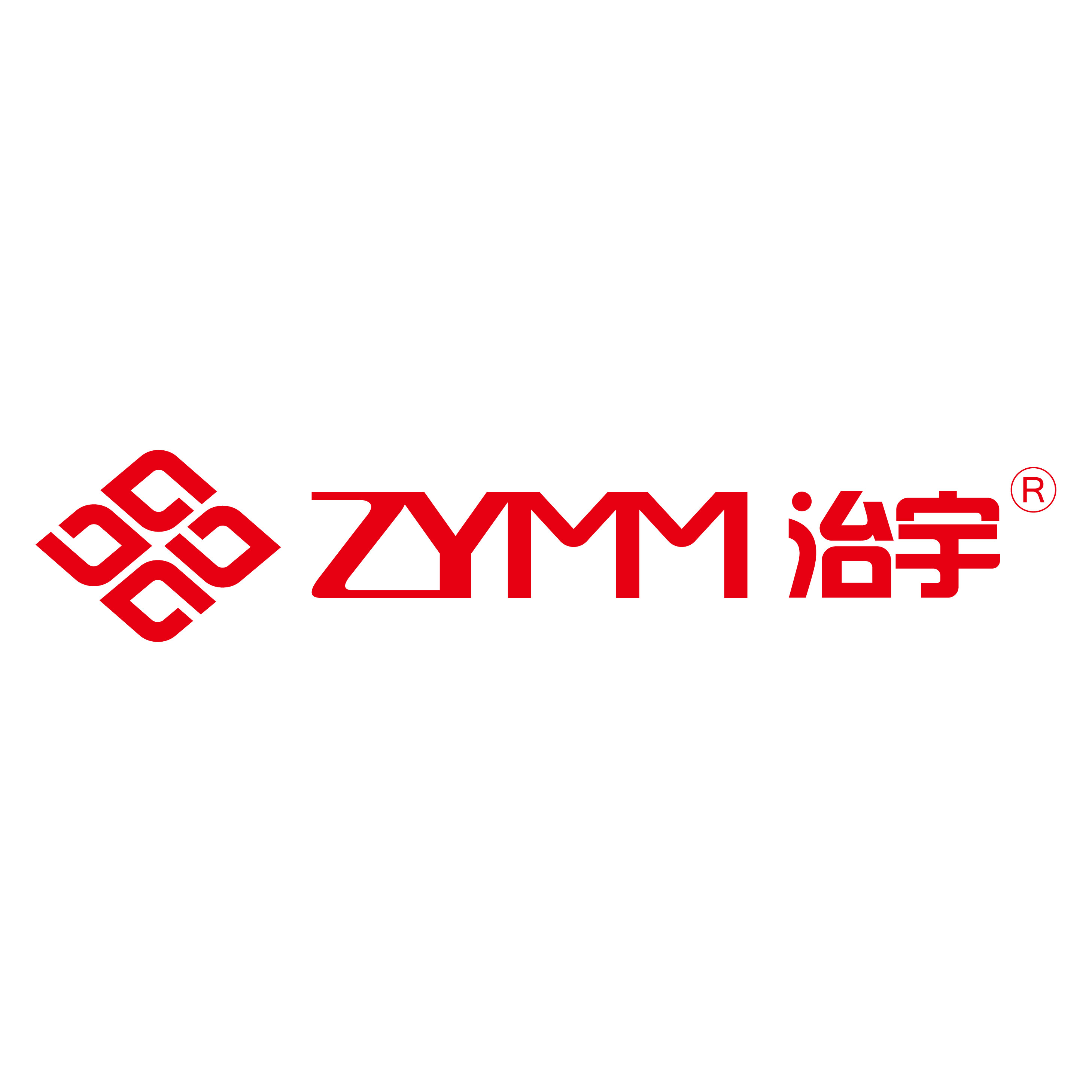 治宇旗舰店