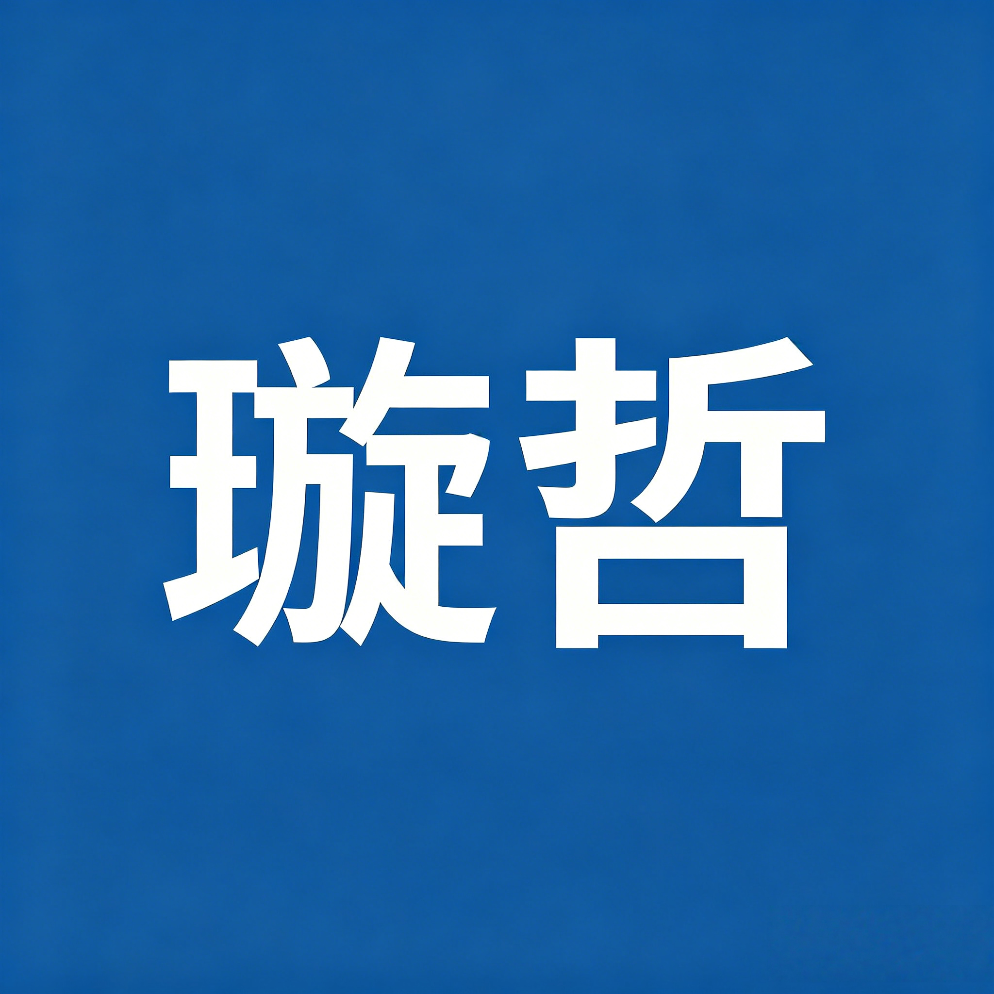 璇哲家具工厂店 店铺LOGO