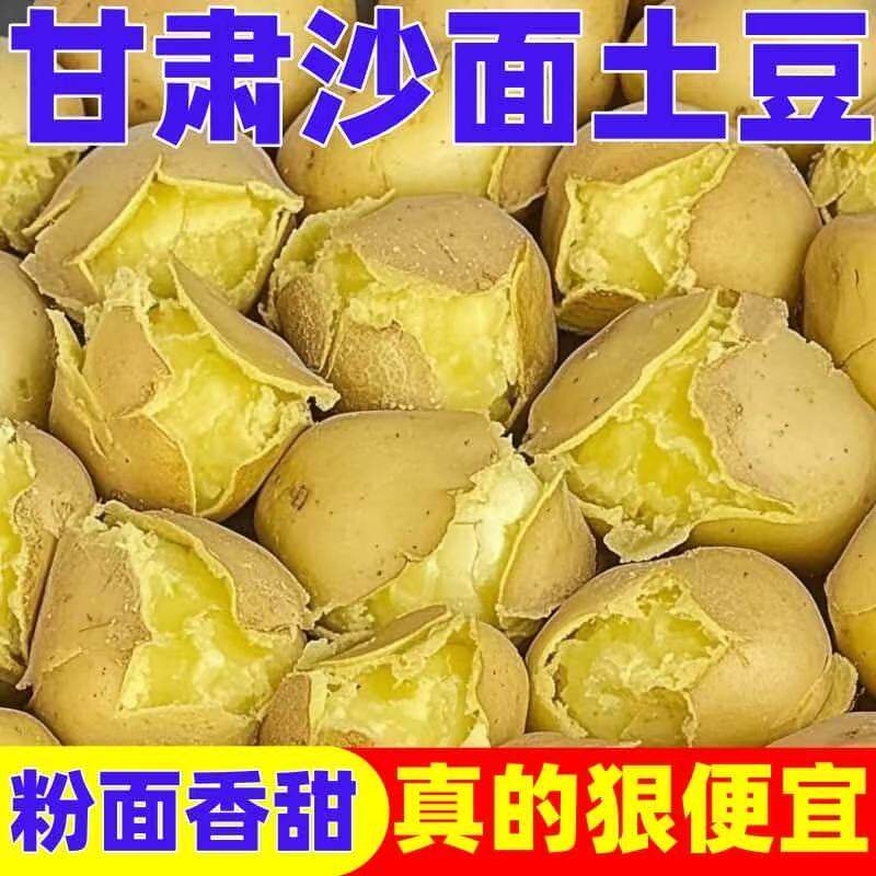 定西鲜薯直达店