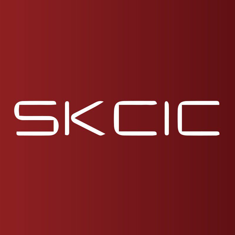 SKTSWG旗舰店 店铺LOGO