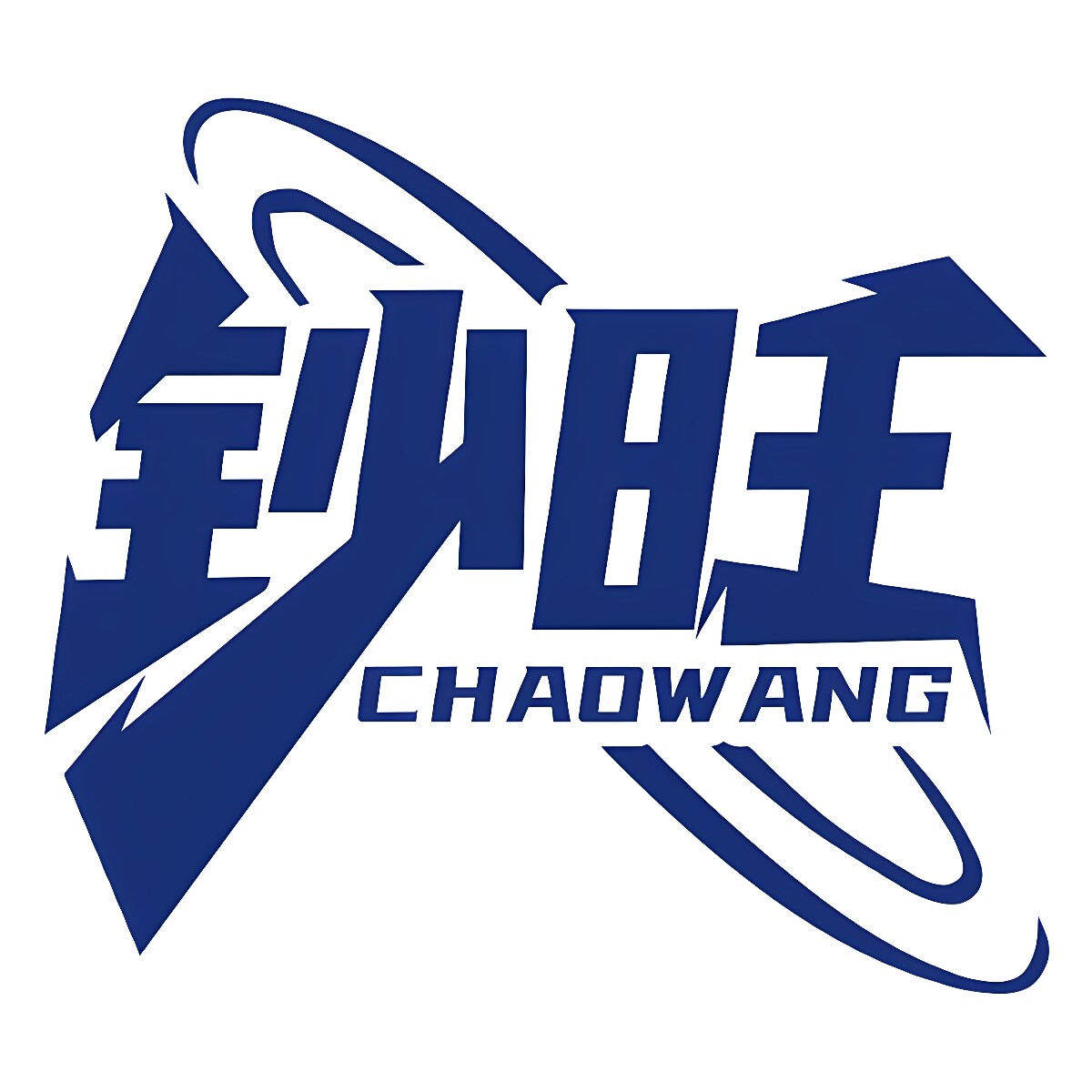 钞旺旗舰店 店铺LOGO