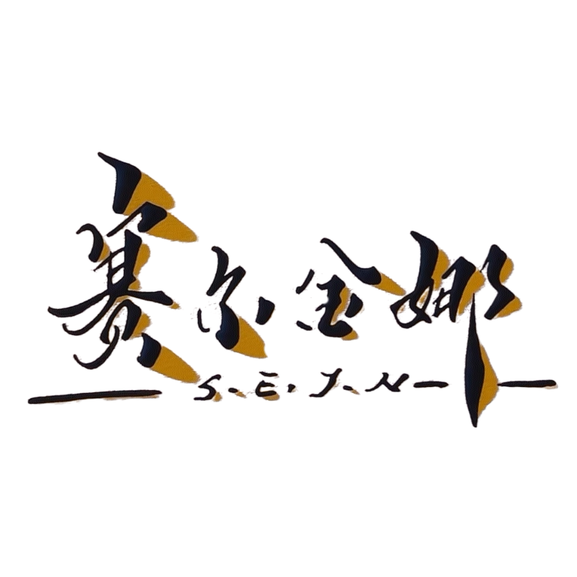 AiNa赛尔金娜