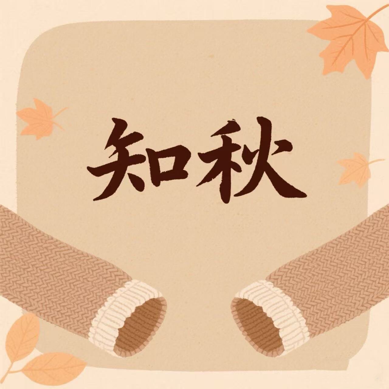 知秋内衣