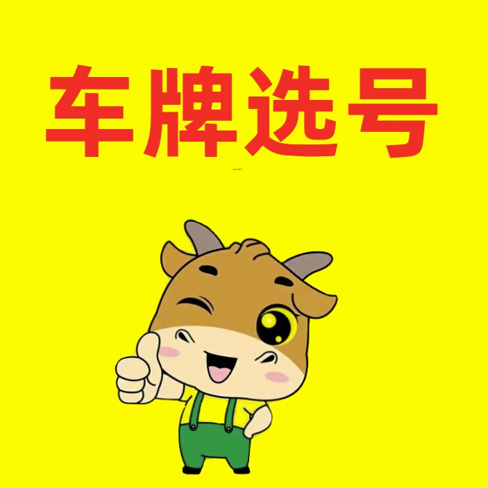 全国汽车自编选号