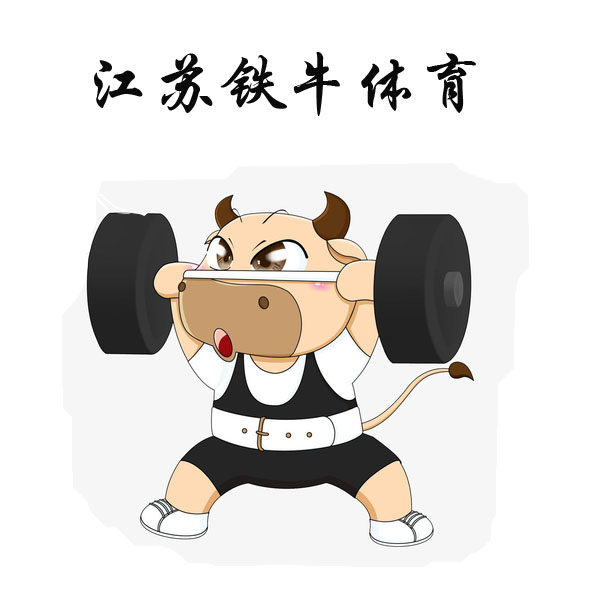 江苏铁牛健身器材工厂店